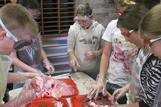 lab_photo